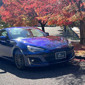 BRZ ZC6