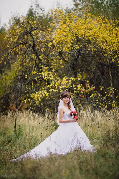 Fotógrafo de casamento Pavel Baydakov (pashaprg). Foto de 16 de fevereiro 2017