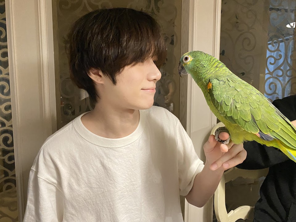 beomgyu et toto