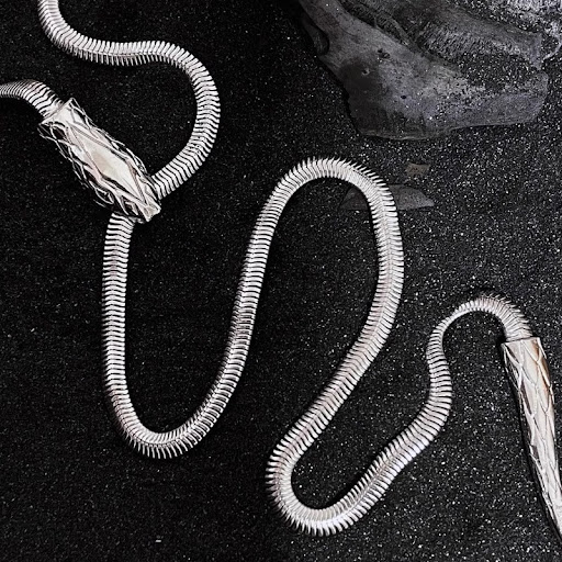 Title 5, Special-interest Design Spirit Snake Snake Bone...