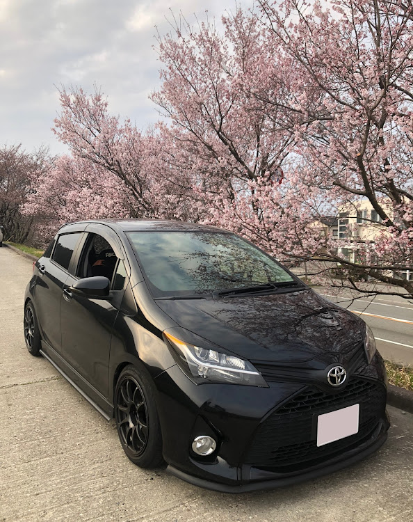 ヴィッツの桜とコラボ🌸に関するカスタム事例の投稿画像1枚目