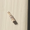 Elegant Grass Veneer Moth