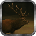 Deer Live Wallpaper mobile app icon