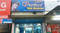 New Perfect Hair Draiser photo 1