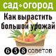 Сад и огород полезные советы Download on Windows