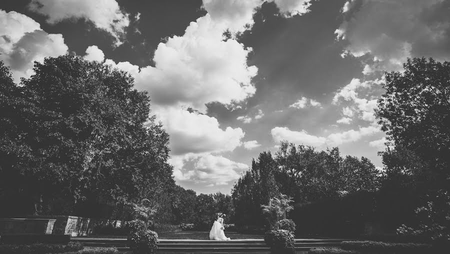 Photographe de mariage Andes Lo (andeslo). Photo du 10 mai 2019