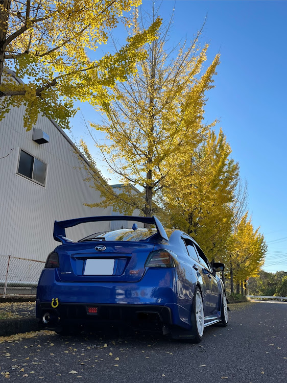 WRX STIのいいEJ20の日・11/20・紅葉と愛車に関するカスタム事例の投稿画像3枚目