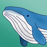 Cover Image of Скачать Whale Follow 1.0 APK