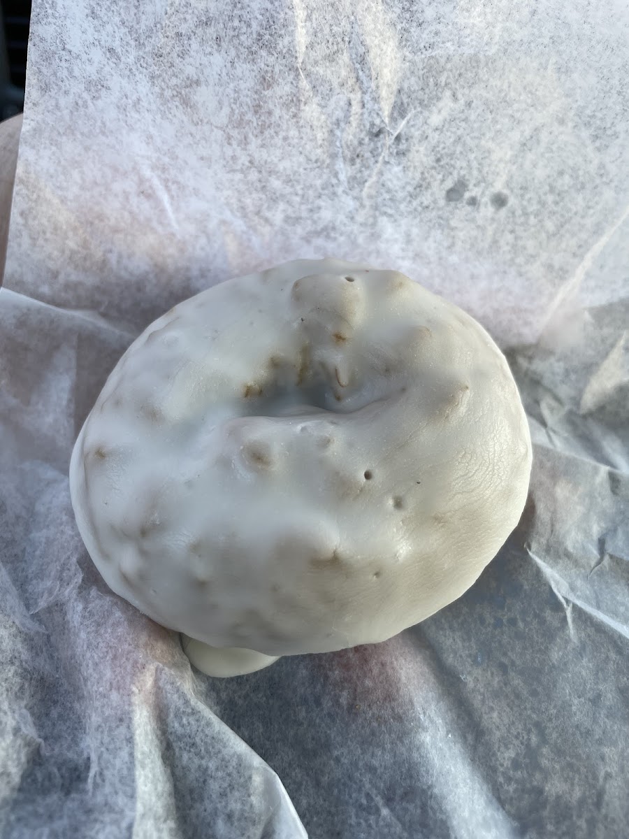 Gluten-Free at The Donut Whole