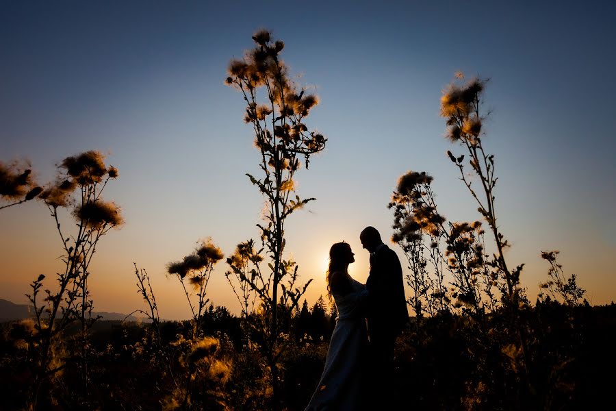 Fotógrafo de casamento Magia Obrazu (magiaobrazu). Foto de 10 de janeiro 2018