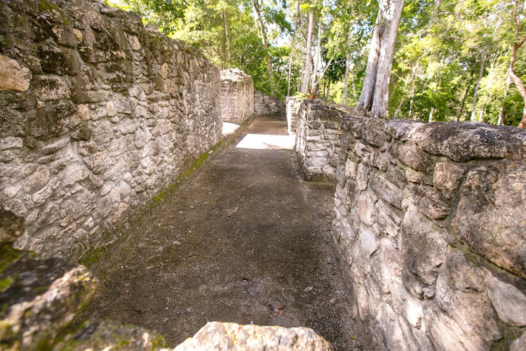 Part of the royalty house at Edifice 11 at Dzibanche in Mexico's Costa Maya region. 