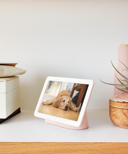 Google Nest Hub Digital Photo Frame Google Store