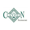 The Clay Oven, Green Park, Yusuf Sarai, New Delhi logo