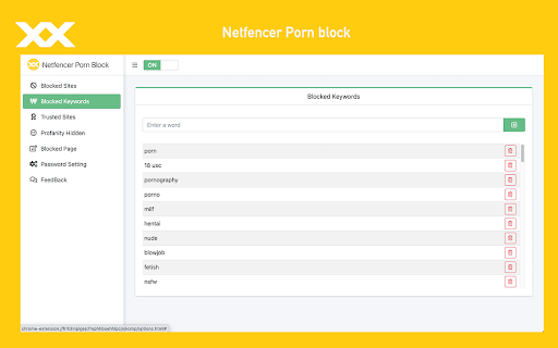 Netfencer Porn Block