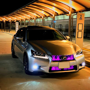 GS GWL10