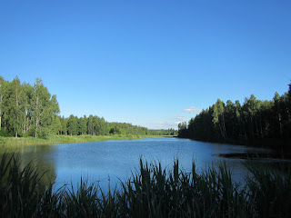 Palu järv