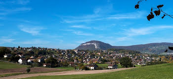 terrain à Poisy (74)