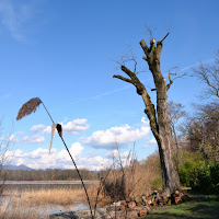 In Riva al Lago di 