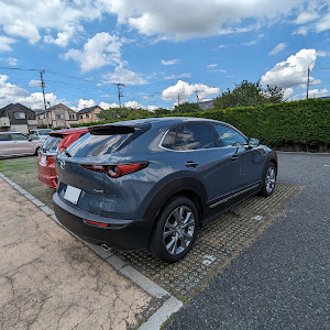 CX-30 DMEP