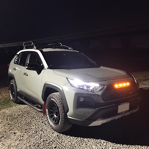 RAV4 MXAA54