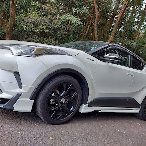 C-HR ZYX10