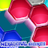 Special hexagonal Puzzle1.6