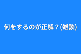 何をするのが正解？(雑談)