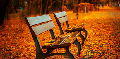 Autumn Live Wallpaper Screenshot 1 of 9