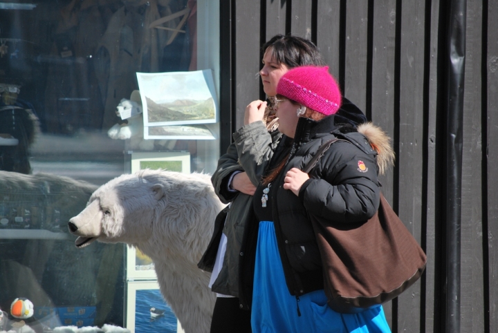 A spasso con l'orso a  Reykjavik di cla65