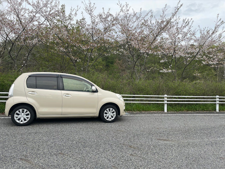 パッソのサクラと愛車に関するカスタム事例の投稿画像1枚目