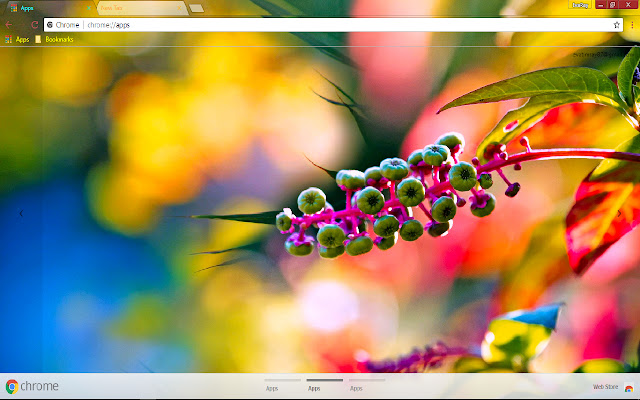 Blur Bokeh Colorful Nature Spring chrome extension