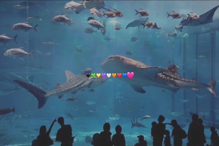 「水族館デート」のメインビジュアル