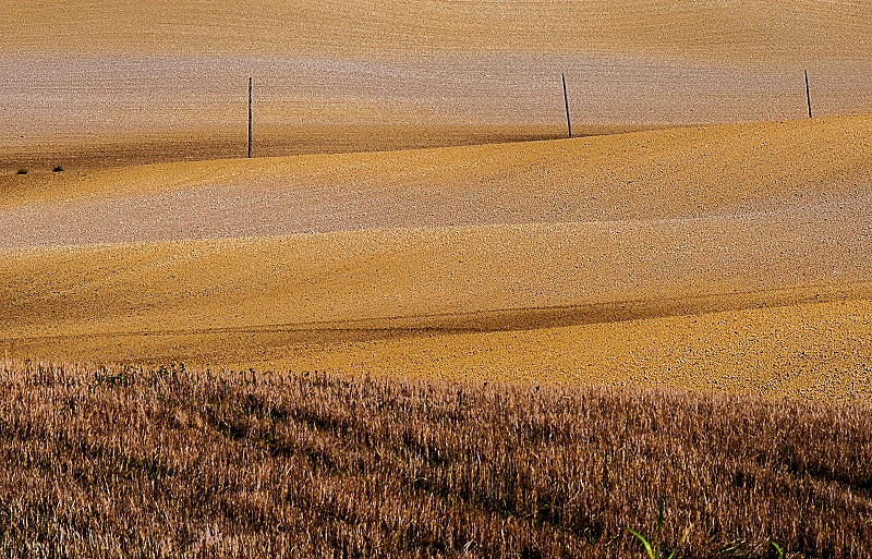 Autunno in Val d'Orcia di lorenzo.malevolti.14