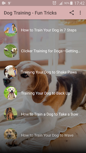 Dog Training - Best Tricks