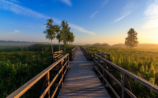 Wooden bridge