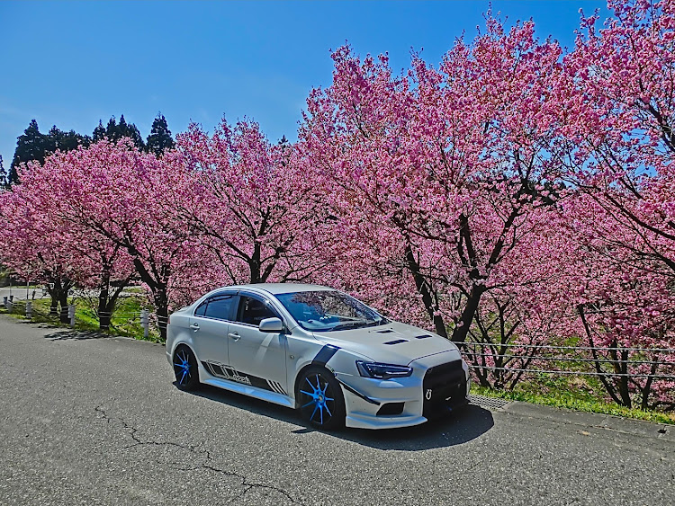 ギャランフォルティスの桜とコラボ・富内某所に関するカスタム事例の投稿画像5枚目