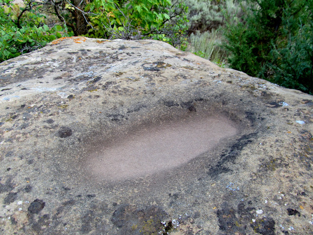 Possible metate in a boulder