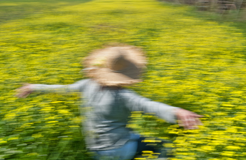 carezza estiva di Zerosedici