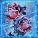 Winter Frozed Roses icon