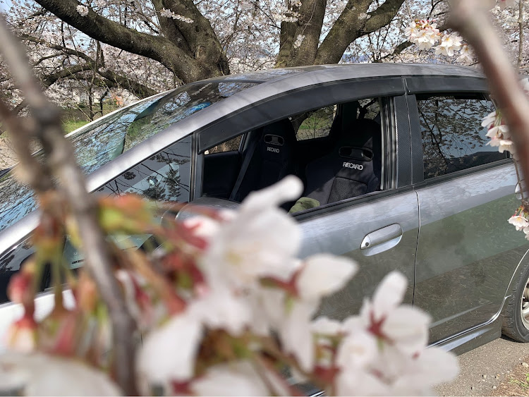 フィットのサクラと愛車・桜・ドライブに関するカスタム事例の投稿画像5枚目