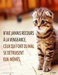 Laisse Parler Ton Coeur Citations 1 0 Apk Android Apps