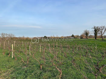 terrain à Lasserre (31)