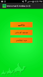 Maloomat-E-Ambia:QasasUlAnbiya - náhled