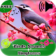 Download Birds Sounds Ringtones For PC Windows and Mac