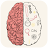 brain test icon