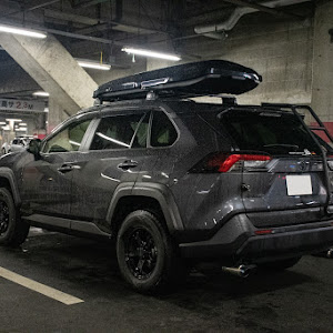 RAV4