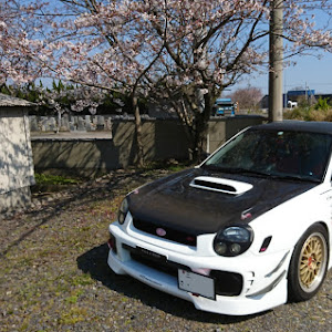 インプレッサ WRX STI GDB