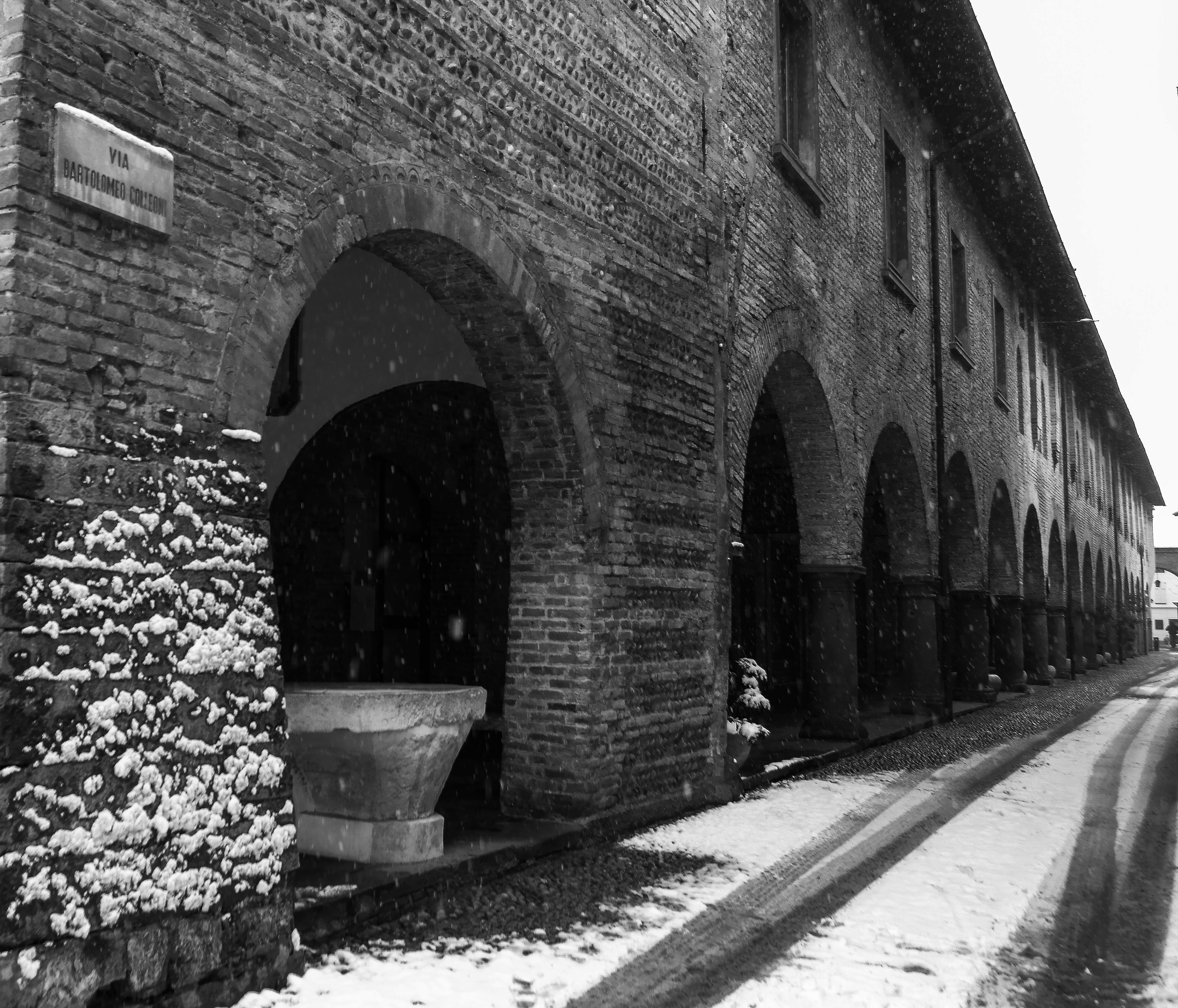 Neve vergine di stefanobiglioli