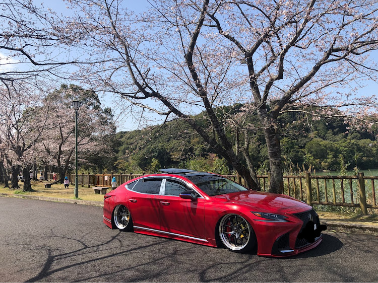 LSの（＾Ｏ＾）さんが投稿したカスタム事例の投稿画像2枚目