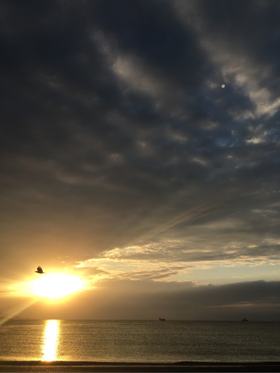 コペンの夕陽と海と愛車・コペンl880k・夕陽が綺麗でした・友人の車と並べた・コペンのある生活に関するカスタム事例の投稿画像4枚目